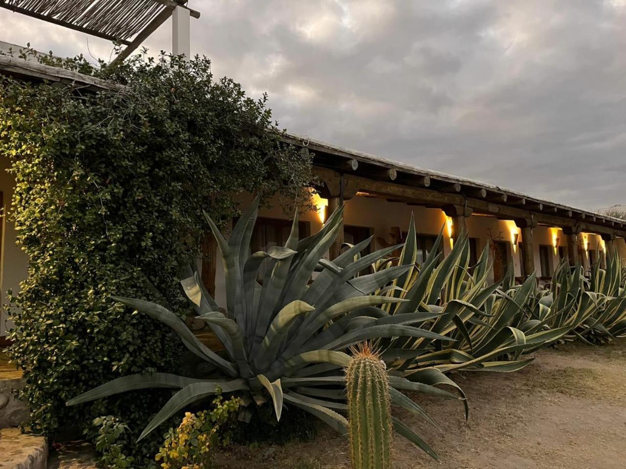Hotel Texas Cafayate Eksteriør billede